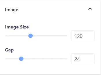 Image style options